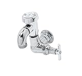 T&S Brass B-0722 Sill Faucet, Vacuum Breaker, 3/4-Inch Npt Female Inlet, Garden Hose Thread Outlet [