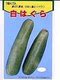 白はぐら　トキタのウリ種です