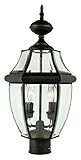 Bel Air Lighting 4321 WB 2-Light Post Lantern [並行輸入品]