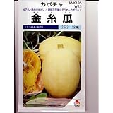 金糸瓜 　タキイのそうめんカボチャ種です