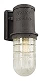 Troy Lighting Dock Street 13.75"H 1-Light Outdoor Wall Light - Charred Iron Rust Finish with Clear S