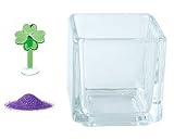 花市場直送便 ミニチュアガラス クローバー & カラーサンド パープル & 植え込み用グラス ニューブロックS