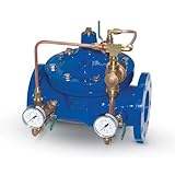 Wilkins 2-ZW209TH Pressure Reducing Valve [並行輸入品]