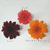 大地農園　ガーベラ　1輪[フルーティーオレンジ]　【プリザーブドフラワー】【単品】