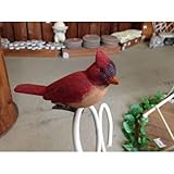 野川農園クリップ鳥(5種アソート)