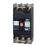 テンパール工業 Eシリーズ 経済タイプ 配線用遮断器100A B102EC10