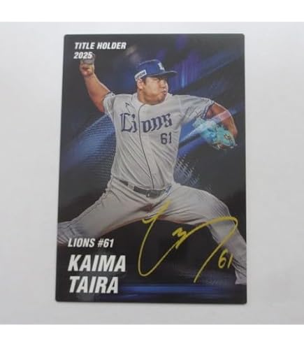 プロ野球チップスカード104枚 Amazon.co.jp: 2024プロ野球チップスカード第1弾□タイトルホルダー