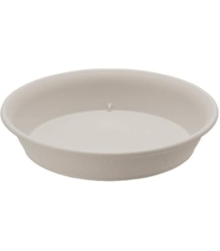 Amazon | 大和プラスチック 鉢皿 浅皿 6号 φ180×H28 ホワイト | 受皿