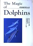 イルカのマジック