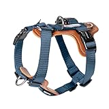 ハーネス 犬 PVCレザー フレンチブルドッグ イタグレ 小型犬 小型犬 中型犬 大型犬 おしゃれ かわいい 定番 カラフル フレブル パグ ペット用 軽量 お出かけ お散歩 調節可能 簡単装着【HiDREAM】【HD024001】