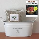 ワイルドストロベリーの栽培セット/標準セット（液体肥料なし）プランターホワイト仕様