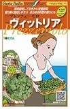 【プレッツェーモロ】ヴィットリア　小袋（200粒）（トキタ種苗）