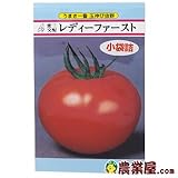 トマト 種 【 レディーファースト 】 種子 小袋（約30粒）