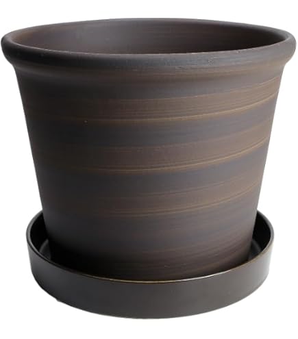 Amazon | 信楽焼 生子輪型 20号 大型植木鉢 | 鉢
