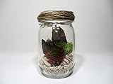 【 翔美苑 】テラリウムキット(多肉植物(造花)付き:レッド) 手軽でおしゃれ