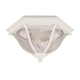 Acclaim 5615TW Flush Mount Collection 2-Light Ceiling Mount Outdoor Light Fixture, Textured White [並