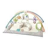 Fisher-Price Safari Dreams Deluxe Cuddle Gym by Fisher-Price
