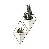Flower Glass Vase Decorative Centerpiece For Home or Wedding by Royal Imports - 5"x5" Cube by 5" Tal