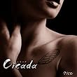 Cicada
