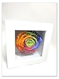 【プリザーブドフラワー／虹色ローズのフレームアレンジ】白いフレームに幸福の鮮やかな虹色のお花に込めた思い【送料無料リボンラッピング付き】