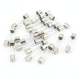 uxcell　ヒューズ　クイックブローガラス管ヒューズ　フューズ　6x30mm　1A 250V　20枚入り