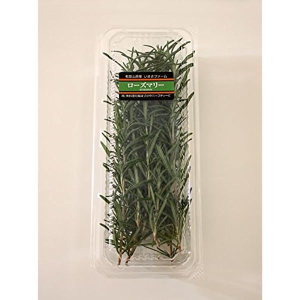 安い購入 ティーブティック ハーブ ミニパック ローズマリー40g 12セット 限定セール Arnabmobility Com