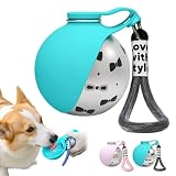 Figfey ペットウォーターボトル 犬 水筒 携帯 給水ボトル ペット水飲み 給水器 水入れ 補給 受け皿 犬 散歩 お散歩グッズ 漏れ防止 ワンタッチ 日用品 熱中症対策 304ステンレス鋼 285ml