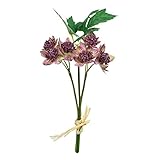 アストランティアピック(3本) FXFPF0011BUR