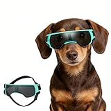 Enjoying 小型犬用サングラス UV保護 防風性 曇り止め 犬用ゴーグル ペットアイウェア用、ブルー