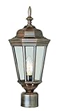 Transglobe Lighting 4096 RT Post Head with Clear Glass Shade, Rust Finished [並行輸入品]