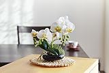 光触媒 卓上型胡蝶蘭 奏（かなで） ホワイト 【まとめ買い2鉢セット】