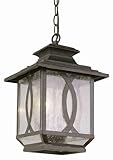 Trans Globe Lighting 5195 BRT 2-Light Hanging Lantern, Burnished Rust [並行輸入品]