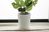室内に緑をプランター用陶器製植木鉢 [その他]〔一部アウトレット訳あり〕