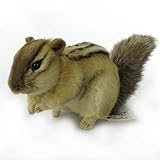 BH7843 HANSA シマリス２５