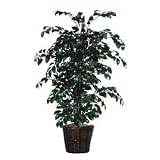 Vickerman 4' Artificial Sakami Bush set in Rattan Basket [並行輸入品]