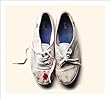 Sleigh Bells - Reign Of Terror (Import)