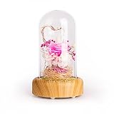 xiyunhan Night Light EternalフラワーLEDオーディオWishing StreamerボトルAtmosphereライトUSB充電ミニBluetoothスピーカーデスクランプラ