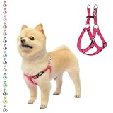 PUPTECK 犬 ハーネス 迷子札 犬 胴輪 犬用ハーネス 喉に優しいハーネス ペット用品 ドッグ はーねす 調節可能 着脱簡単 軽量 通気性 快適 負担が少ない 耐久性 引っ張り防止 安全 夜間反射 IDタグ付き 散歩 アウトドア しつけ 訓練 人気 可愛い おしゃれ 小型犬 中型犬 大型犬（ピンク、Sサイズ）