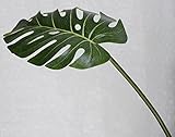 TomYumKung人工熱帯葉Tropical Palm Leaves 6 x Leaves