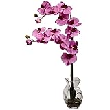 Nearly Natural 1295-MV Phalaenopsis Orchid with Vase Arrangement, Mauve [並行輸入品]