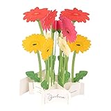 GreetingLife(グリーティングライフ) ブルーミングカード ガーベラ KE-41