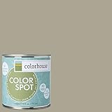 Inspired Eggshell Interior Colorspot Paint Sample, Stone .05, 8-oz [並行輸入品]