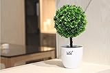 GoDen 人工観葉植物　シミュレーション盆栽 造花　癒しの グリーン インテリア フェイク グリーン