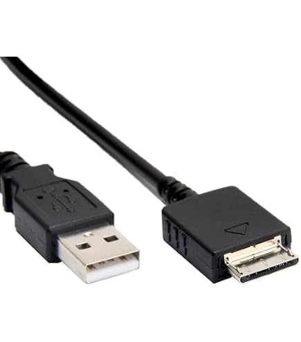 Amazon.co.jp: ALLVD ソニーウォークマン充電ケーブル1.2 m