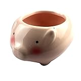 陶器鉢　豚植木鉢 多肉植物　花鉢 容器