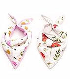 Little Unicorn (リトルユニコーン) コットン バンダナビブ 2枚セット (Summer Poppy) [並行輸入品]