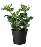 IKEA　FEJKA　人工観葉植物　ハーブ　40255476