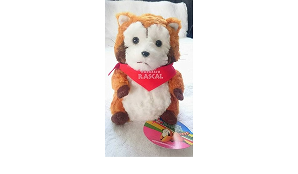 Amazon 北海道限定ラスカル あらいぐまラスカル くたりんラスカル ラスカル ぬいぐるみ 可愛いss ぬいぐるみ おもちゃ