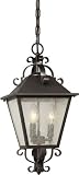 Forte Lighting 1308-03-32 Traditional 3-Light Exterior Hanging Lantern with Clear Seeded Glass, Anti