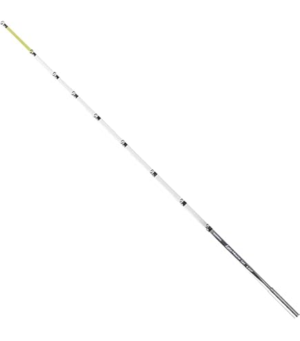 SHIMANO Wakasagimatic SHS01 ワカサギ竿　2本セット シマノ ワカサギ 穂先 レイクマスター SH L : つり具の銭屋